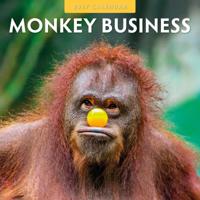 Monkey Business Kalender 2027