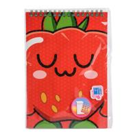 Canenco Fruity squad kleurboek met stickers