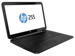 HP 255 G2 Notebook 39,6 cm (15.6") AMD E 4 GB DDR3-SDRAM 500 GB HDD Windows 8.1 Zwart