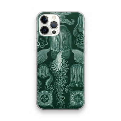 Haeckel Cubomedusae: iPhone 12 Pro Max Transparant Hoesje