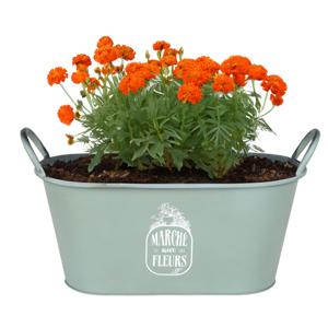 Plantenpot/bloempot teil voor buiten - zink - jadegroen - L39 x B16 x H21 cm