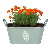 Plantenpot/bloempot teil voor buiten - zink - jadegroen - L39 x B16 x H21 cm - thumbnail