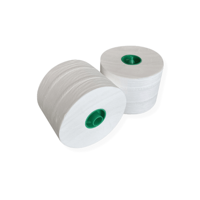 Toiletpapier met dop 2 laags 100m recycled T4