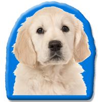 Kleur Voorzijde: - Pillow Buddies