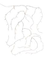 HEMA Lichtsnoer 12m met 200 LED ijspegels (wit)