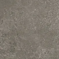 Serenissima Concreta 1081644 Vloertegel 1200X1200 Antracite 9,5Mm Mat Ret.R10