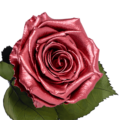 Longlife roos metallic rood Longlife roos metallic rood