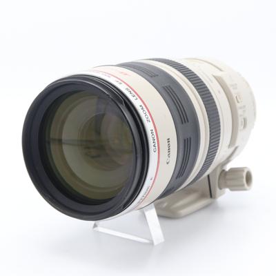 Canon EF 100-400mm F/4.5-5.6 L IS USM (schuifzoom) occasion