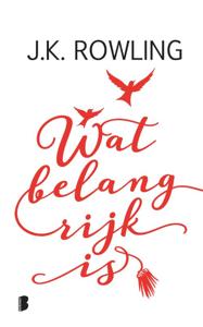 Wat belangrijk is (Hardback)