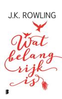 Wat belangrijk is (Hardback)