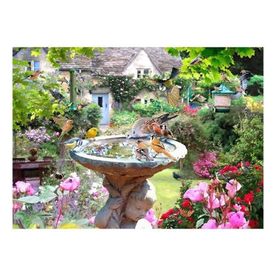 Summer Birds Puzzel 1000 Stukjes