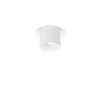 Wever & Ducre - Ray 1.0 LED Plafondlamp Buitenlamp