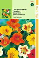 Zaden Tropaeolum Oost-Indische Kers Tom Thumb Hortitops - Hortitops