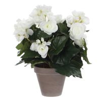 Witte Begonia kunstplant 30 cm in grijze pot   -