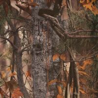Buteo Photo Gear Camouflage net 6, brown forest 1,5 x 3 m