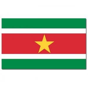 Vlag Suriname - 90 x 150 cm - Surinaamse Vlag - Suriname