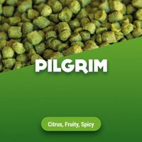 Hopkorrels Pilgrim - 100 g - thumbnail