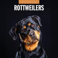 Rottweiler Kalender 2026