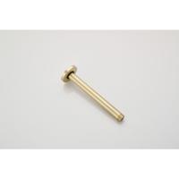 Douchearm SaniClear Brass | 20 cm | Plafond montage | Messing | Rond | Messing mat - thumbnail
