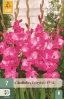 Gladiool fairytale pink