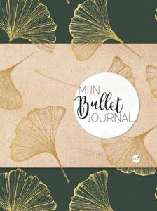 Mijn bullet journal (Paperback)