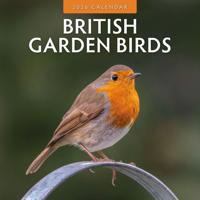 British Garden Birds Kalender 2026