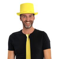 Carnaval verkleedset hoed en stropdas - geel - volwassenen/unisex - feestkleding accessoires