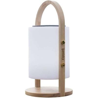 Draadloze bluetooth speakerlamp - LUMISKY - WOODY PLAY - H37 cm - Houten handvat - Dimbare witte en veelkleurige LED