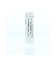 Calcarea carbonica ostrearum MK