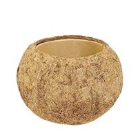 Kokodama pot (&apos;perfect fit&apos; voor potmaat 11/12 cm)