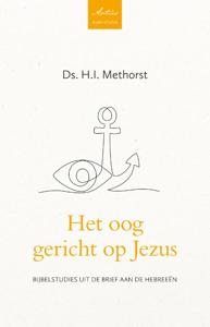 Het oog gericht op Jezus (Paperback)