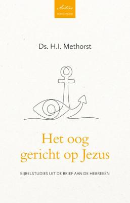 Het oog gericht op Jezus (Paperback)