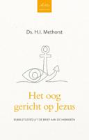 Het oog gericht op Jezus (Paperback)