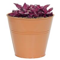 Plantenpot/bloempot Bob - rond - zink - terra - D13 X H12 cm