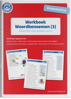 Werkboek Woordbenoemen (Paperback)