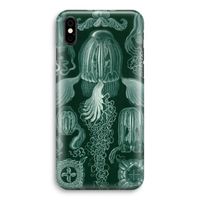 Haeckel Cubomedusae: iPhone Xs Volledig Geprint Hoesje