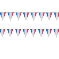 Vlaggenlijn - Frankrijk - blauw/wit/rood - kunststof - 10 meter - thumbnail
