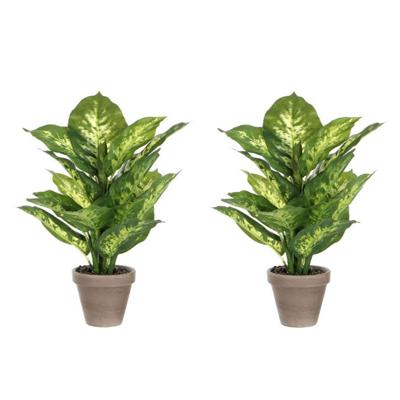 Kunstplant Dieffenbachia - 2x - groen - 40 cm - in pot - nepplant - kamerplant