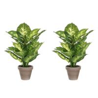 Kunstplant Dieffenbachia - 2x - groen - 40 cm - in pot - nepplant - kamerplant