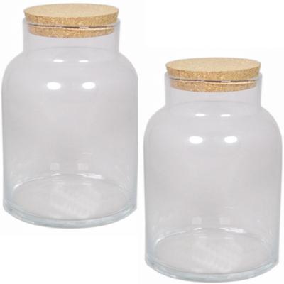 Floran terrarium vaas - 2x - glas - 8 liter - met kurk deksel - 18 x 27 cm - Plantenpot van glas