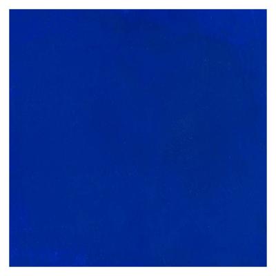 Bruynzeel Ecola plakkaatverf fles 16ml donkerblauw 502