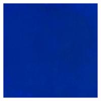 Bruynzeel Ecola plakkaatverf fles 16ml donkerblauw 502