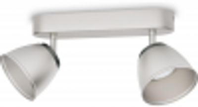 Philips myLiving Spotlamp County RVS 2-spot