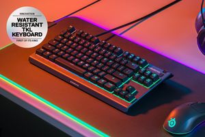 Steelseries APEX 3 TKL toetsenbord Gamen USB QWERTY Amerikaans Engels Zwart