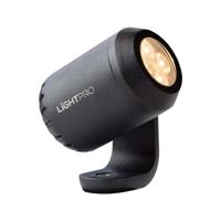 Juno 2 LED Prikspot - 1.5 Watt - 160 Lumen - 3000K warm wit - 12V - Kantelbaar - Tuinspot - Grondspot - IP67 Waterdicht - Antraciet