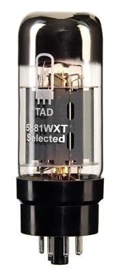 TAD 5881WXT/4