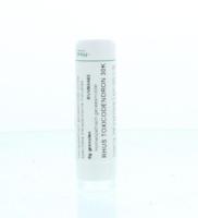 Homeoden Heel Rhus toxicodendron 30K 6 Gram