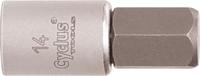 Cycplus Grs cyclus dop inbus 3/8" 14.0mm ca pt
