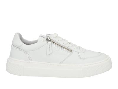 AQA A8711 white Wit maat 40