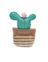 Fofos Cactus cancun - thumbnail